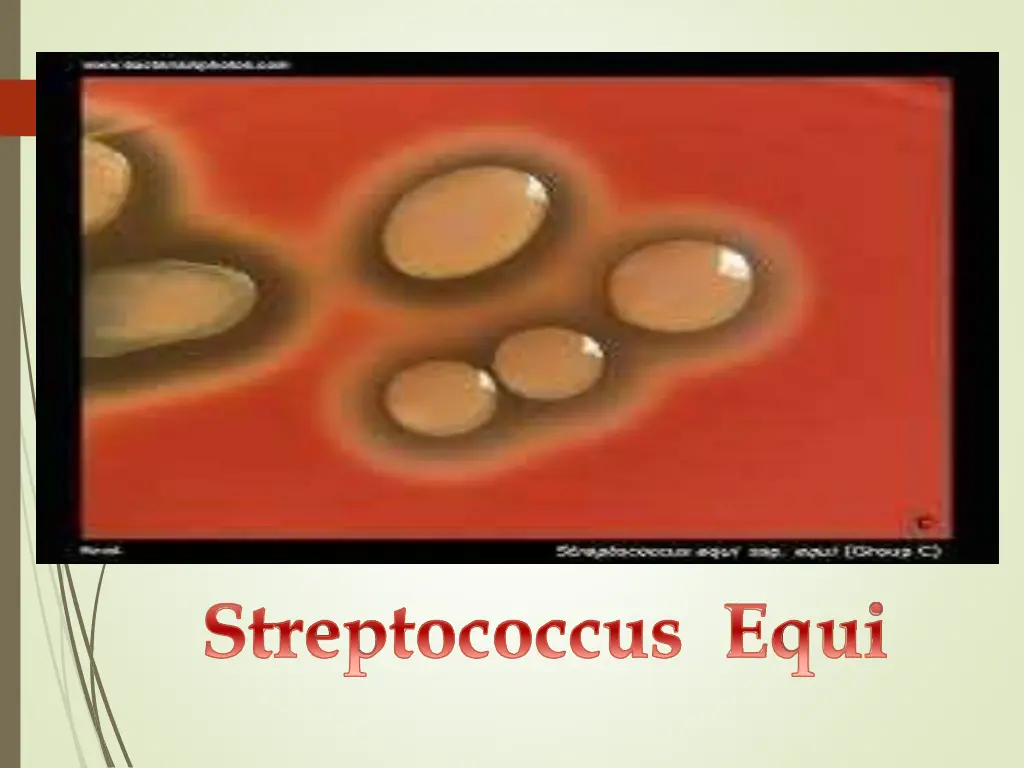 slide4
