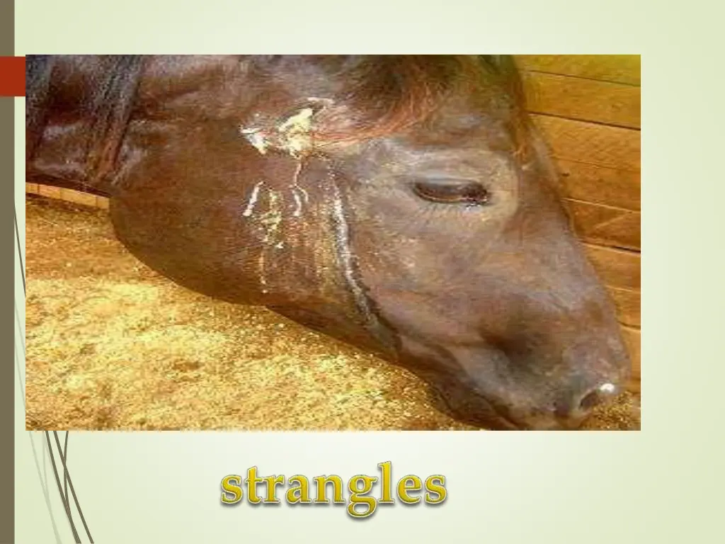 slide6