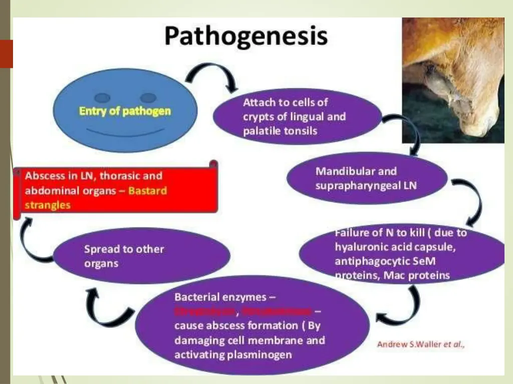 slide7