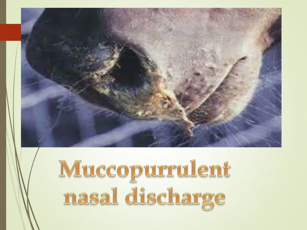 slide9