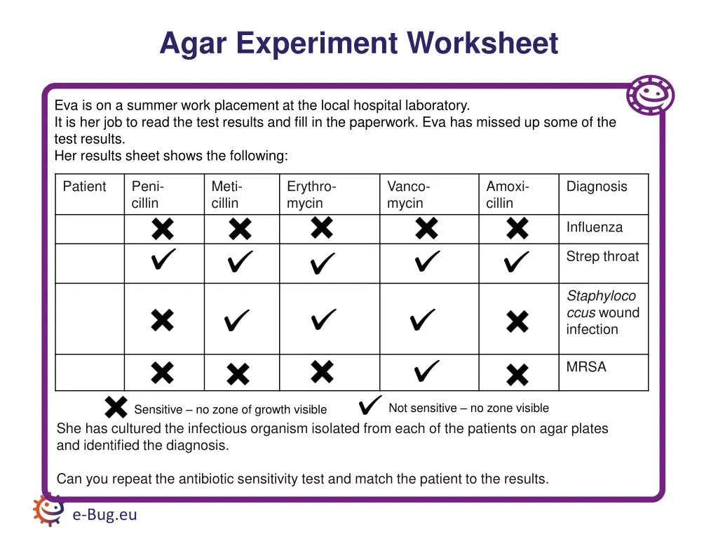 agar experiment worksheet