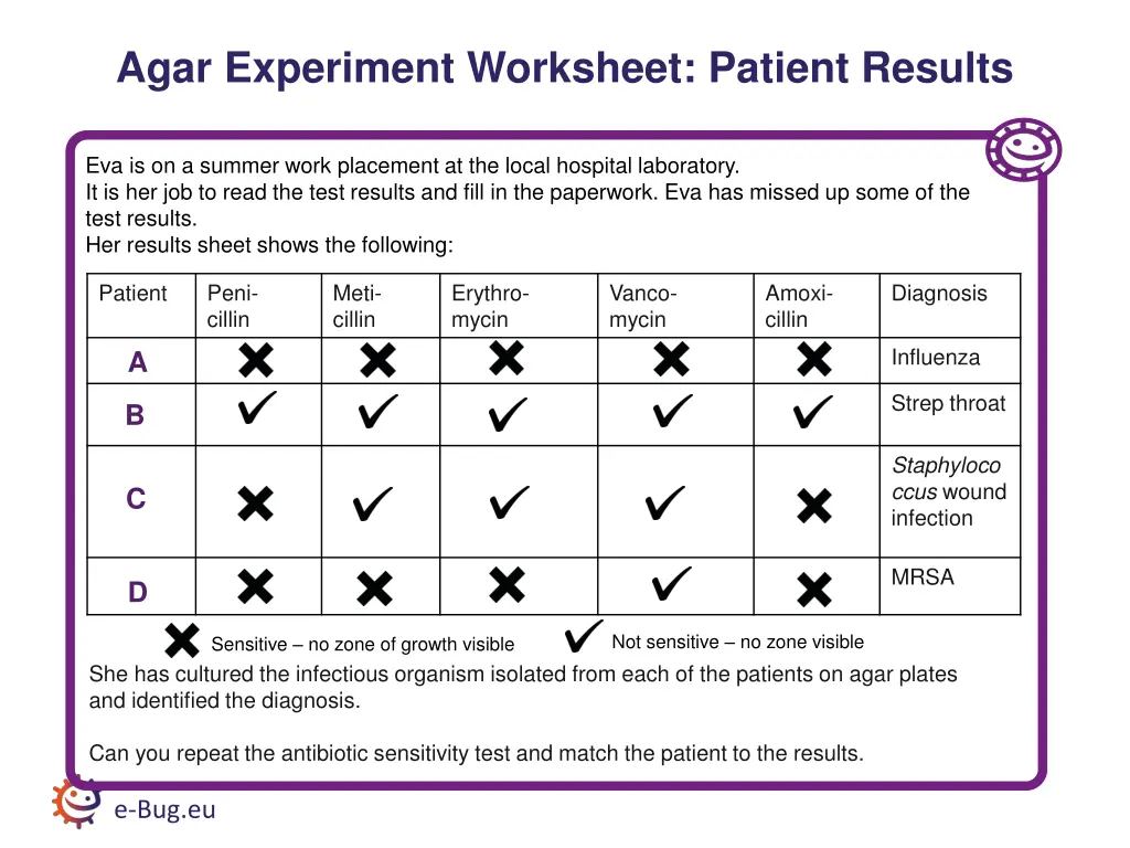 agar experiment worksheet patient results