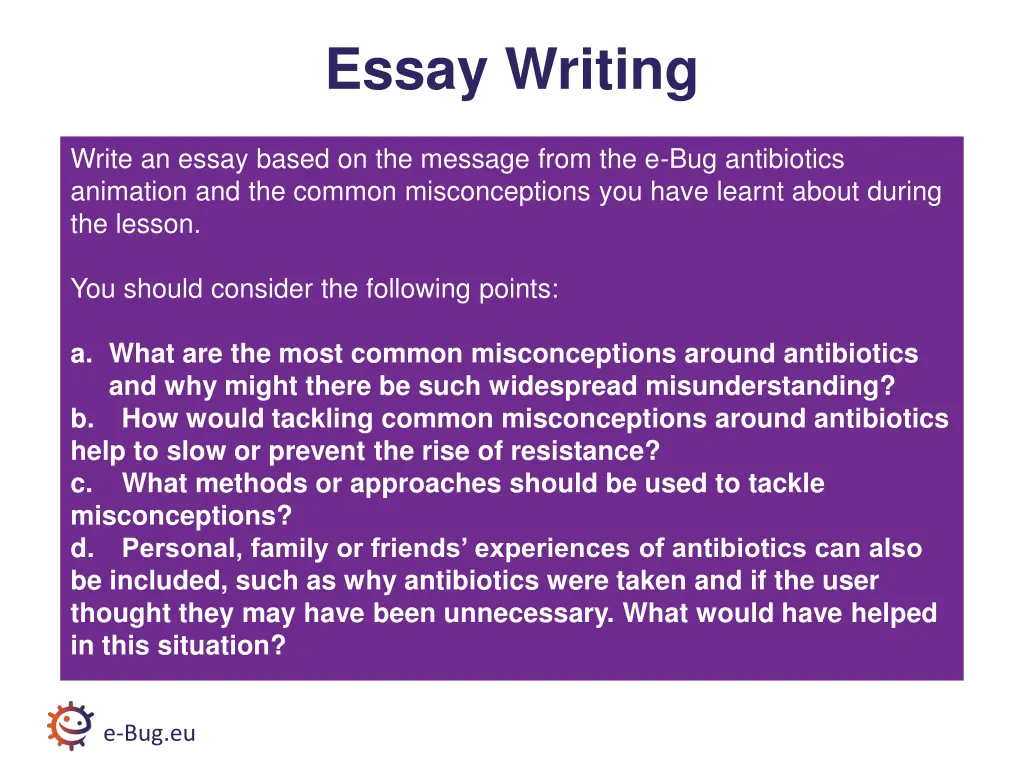 essay writing