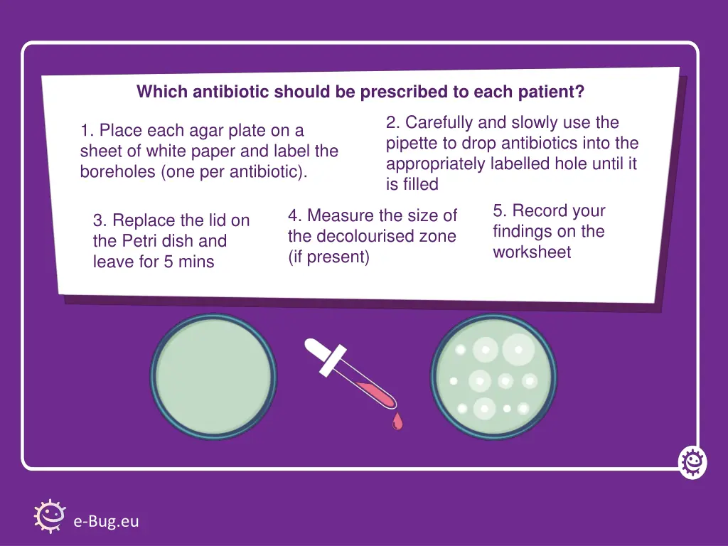 which antibiotic should be prescribed to each