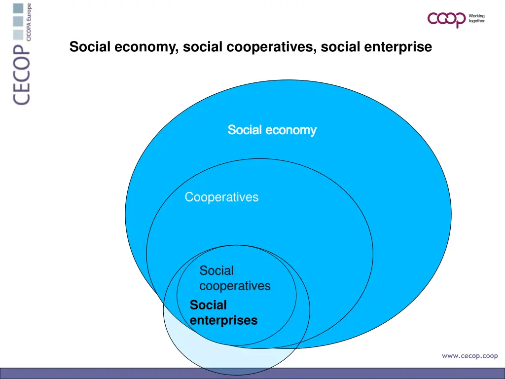 social economy social cooperatives social