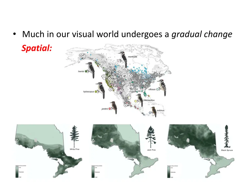 much in our visual world undergoes a gradual