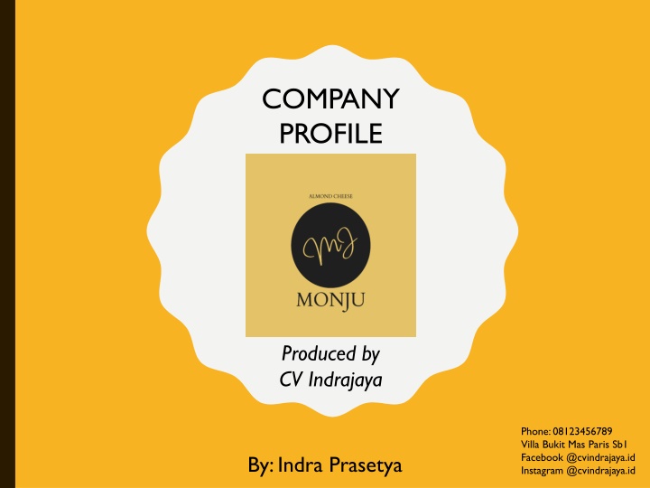 company profile