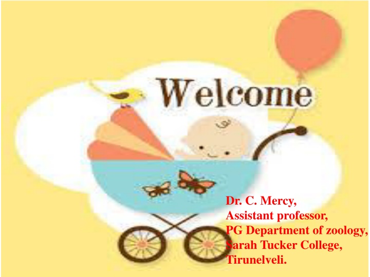 dr c mercy assistant professor pg department