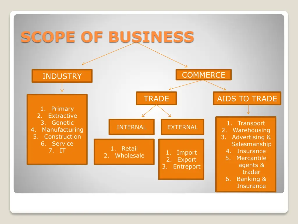 scope of business
