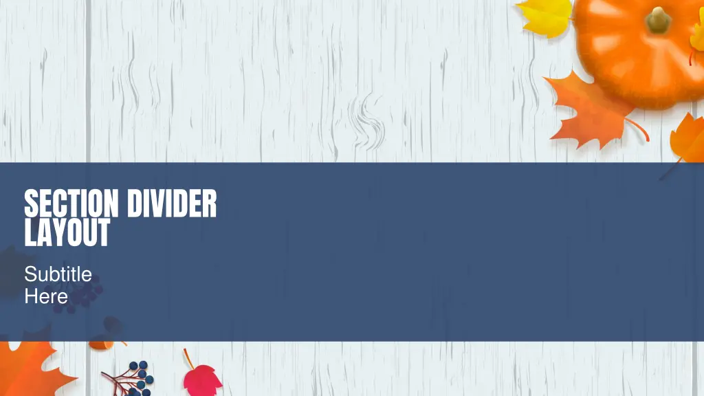 section divider layout