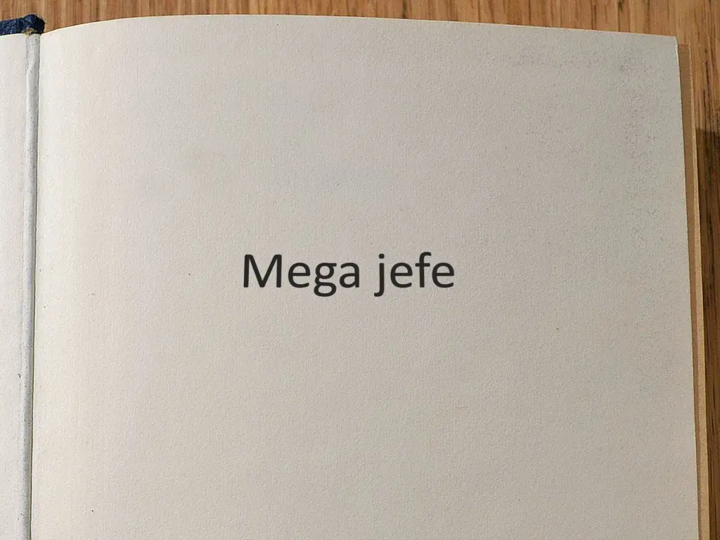 slide13