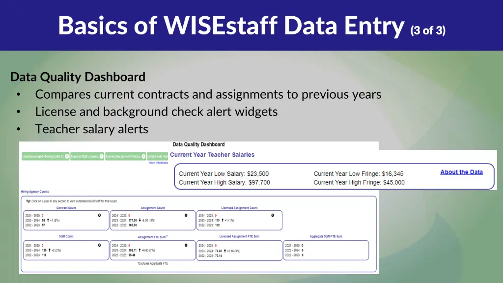 basics of wisestaff data entry 3 of 3