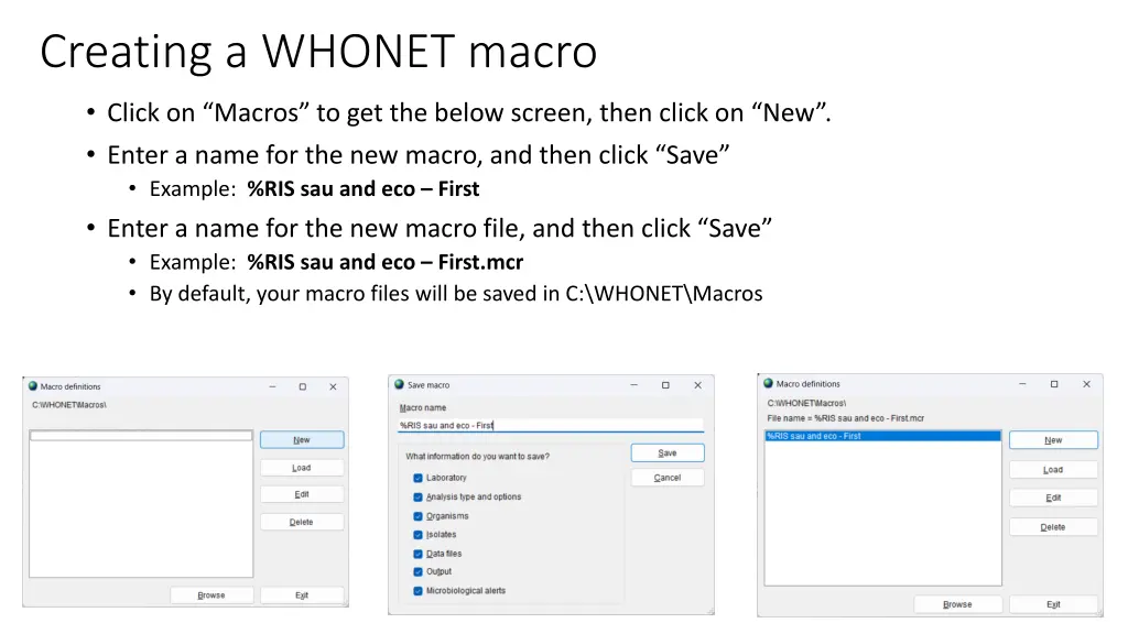 creating a whonet macro