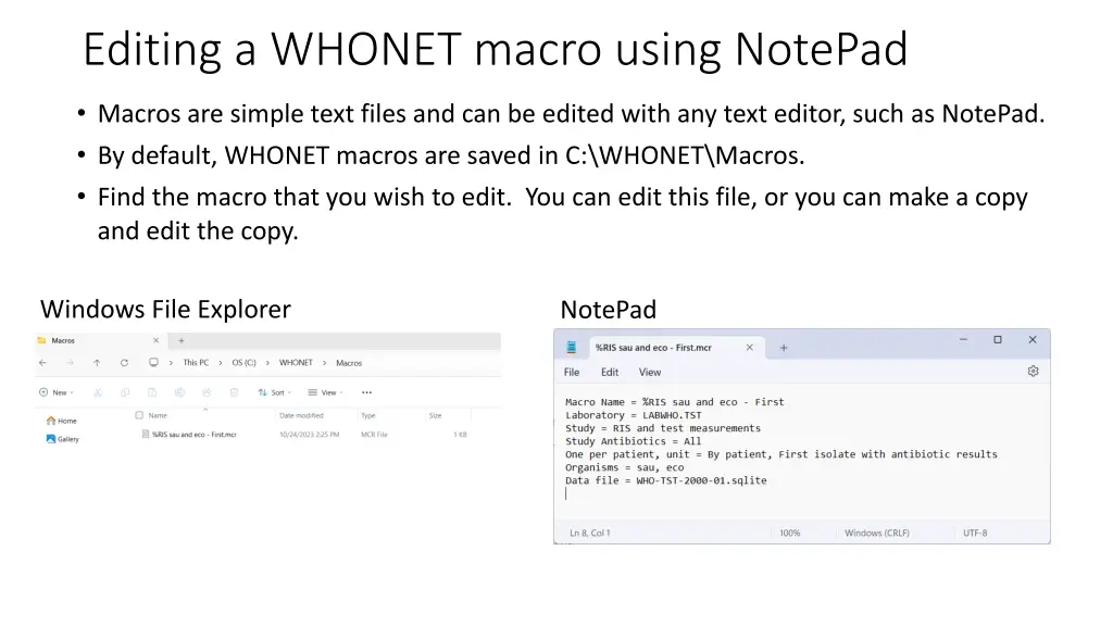 editing a whonet macro using notepad
