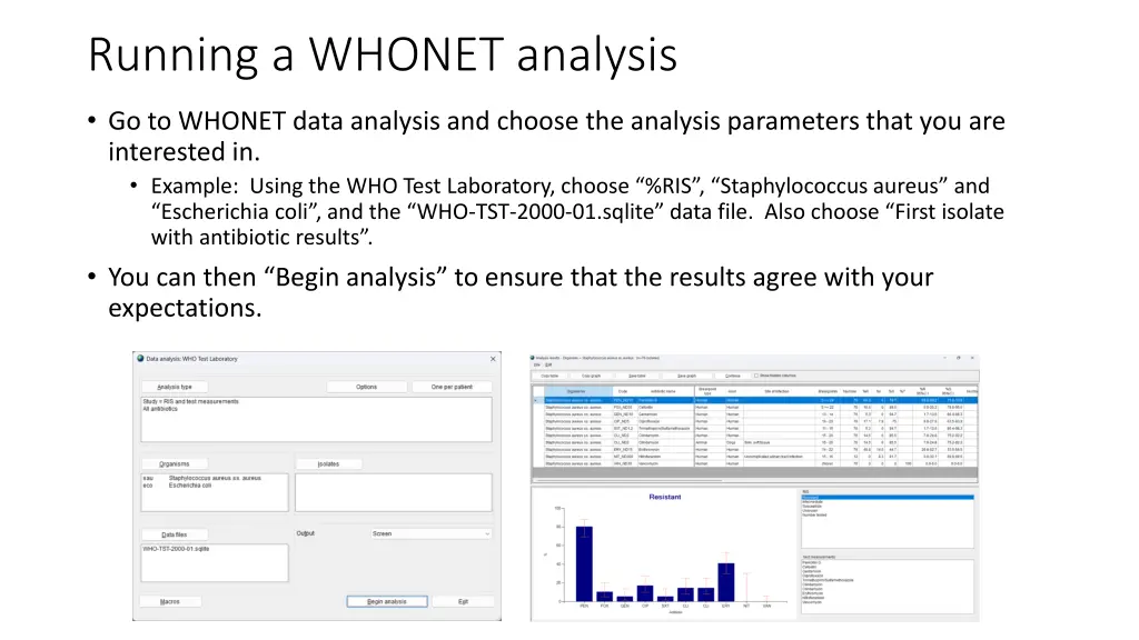 running a whonet analysis