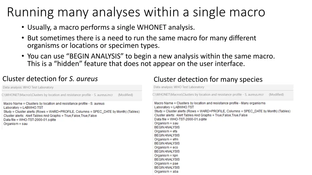 running many analyses within a single macro