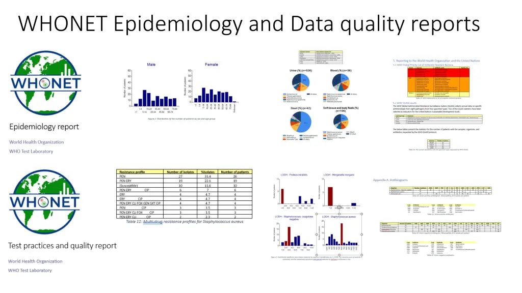 whonet epidemiology and data quality reports