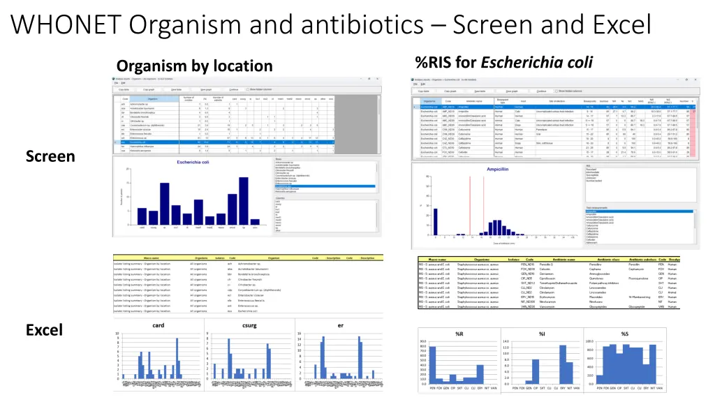 whonet organism and antibiotics screen and excel