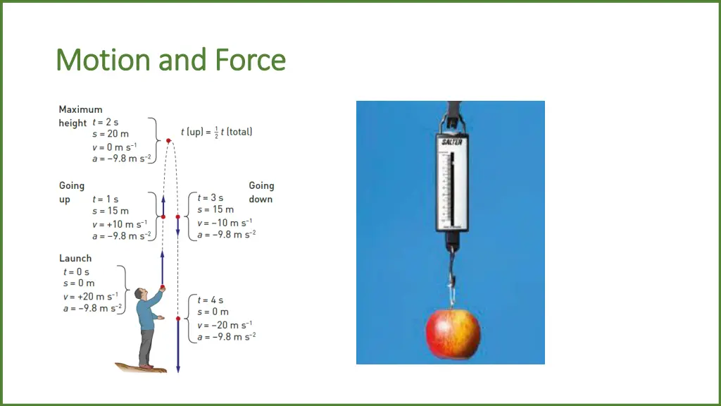 motion and force motion and force
