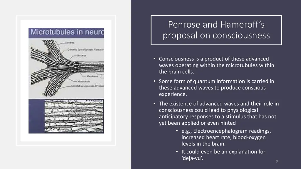 penrose and hameroff s proposal on consciousness