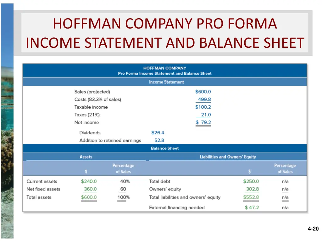 hoffman company pro forma income statement