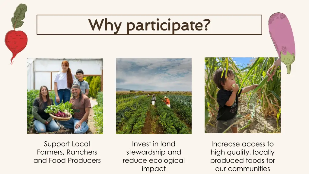 why participate why participate