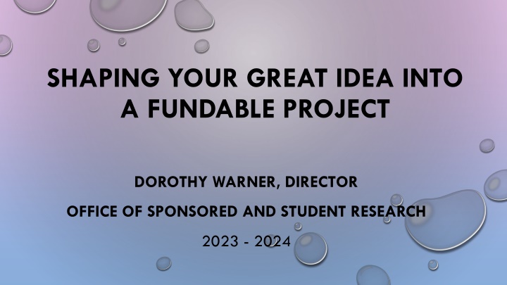 shaping your great idea into a fundable project