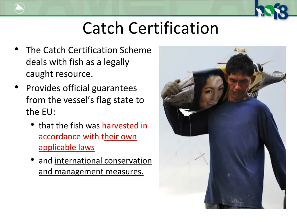 catch certification the catch certification