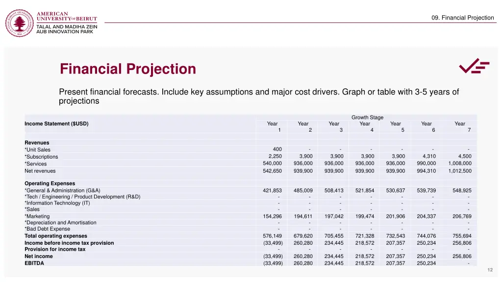 09 financial projection