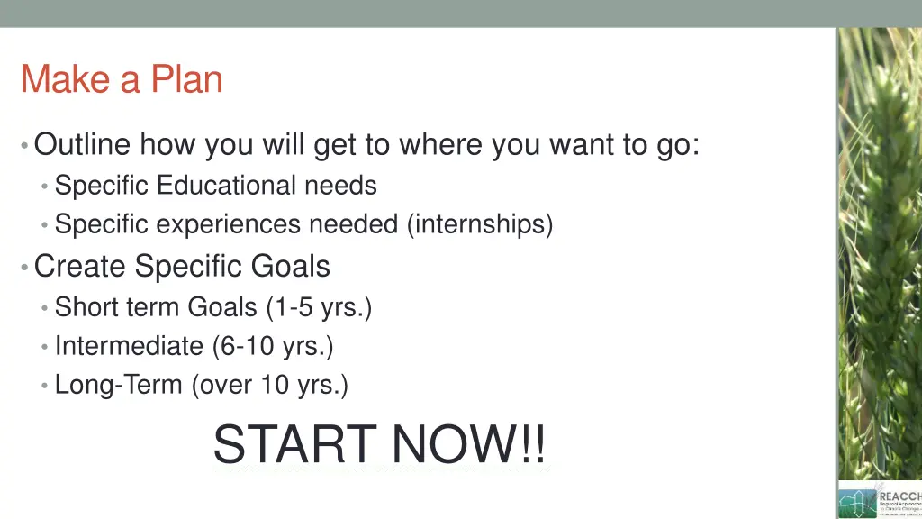 make a plan
