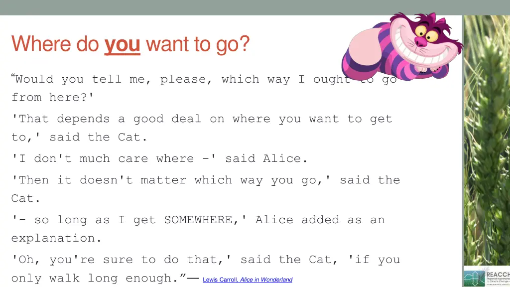 where do you want to go