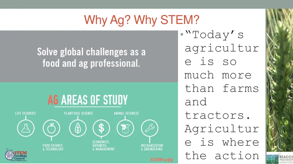why ag why stem
