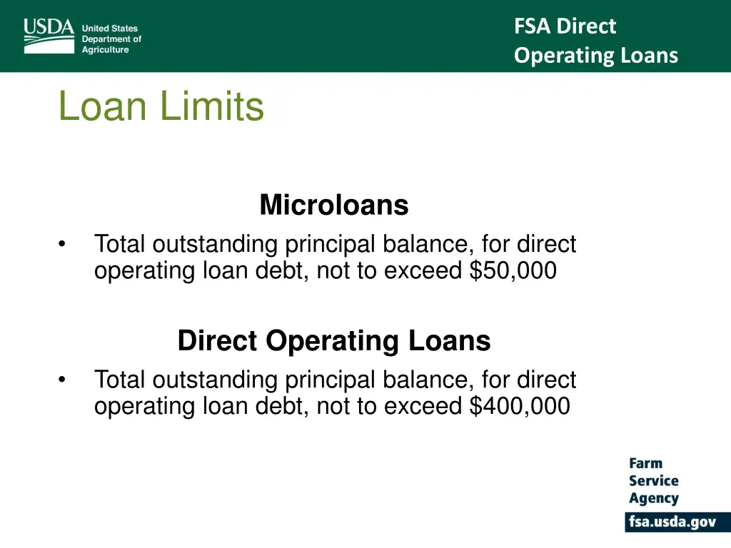 fsa direct operating loans 2