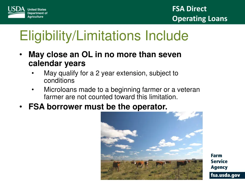 fsa direct operating loans 5