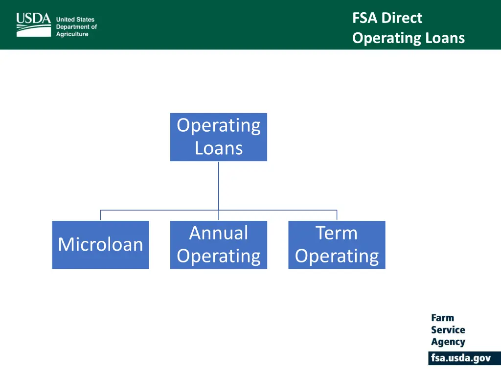 fsa direct operating loans