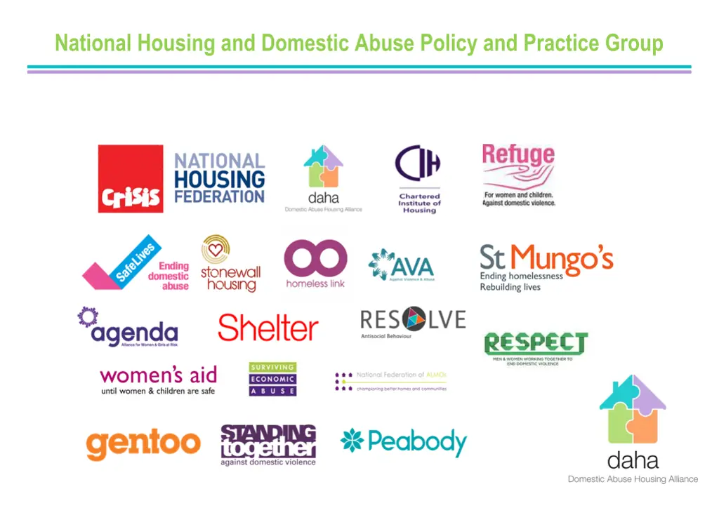 national housing and domestic abuse policy