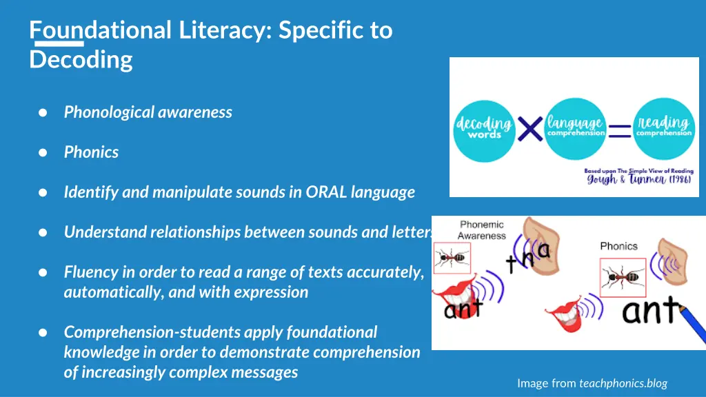 foundational literacy specific to decoding