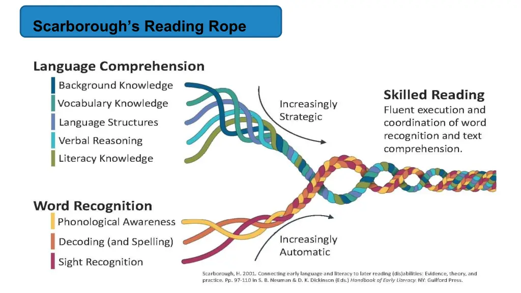 scarborough s reading rope