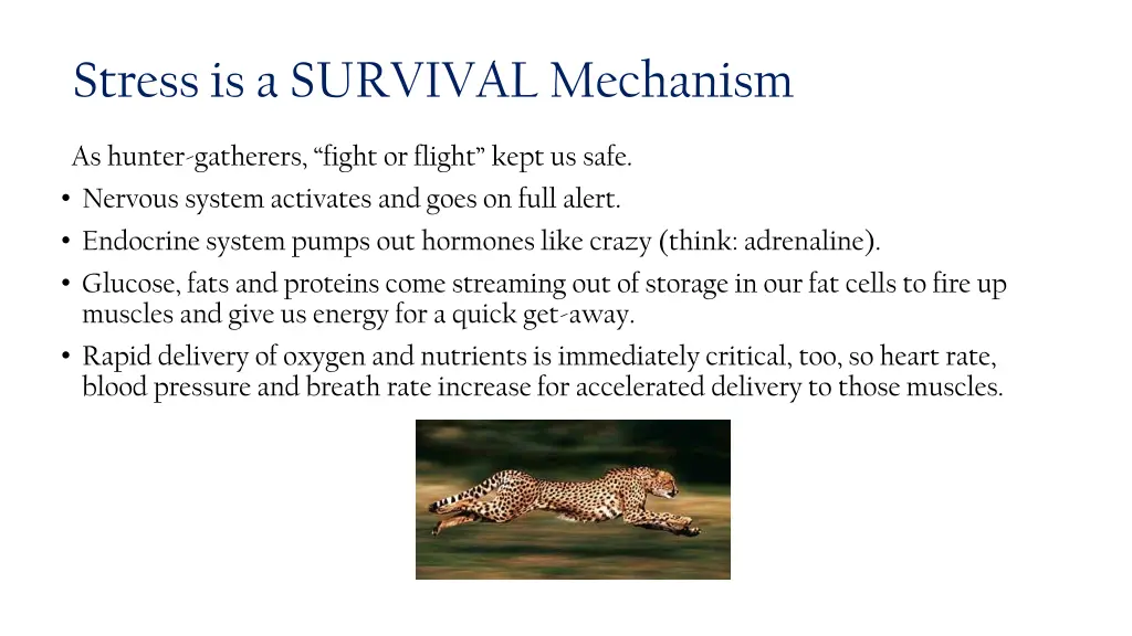 stress is a survival mechanism