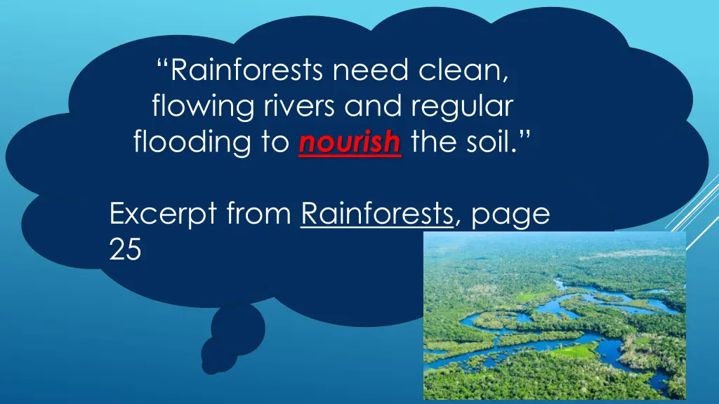 rainforests need clean flowing rivers and regular