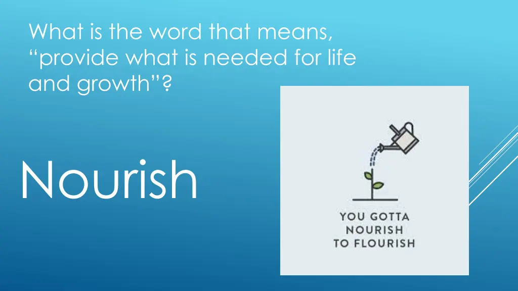 what is the word that means provide what