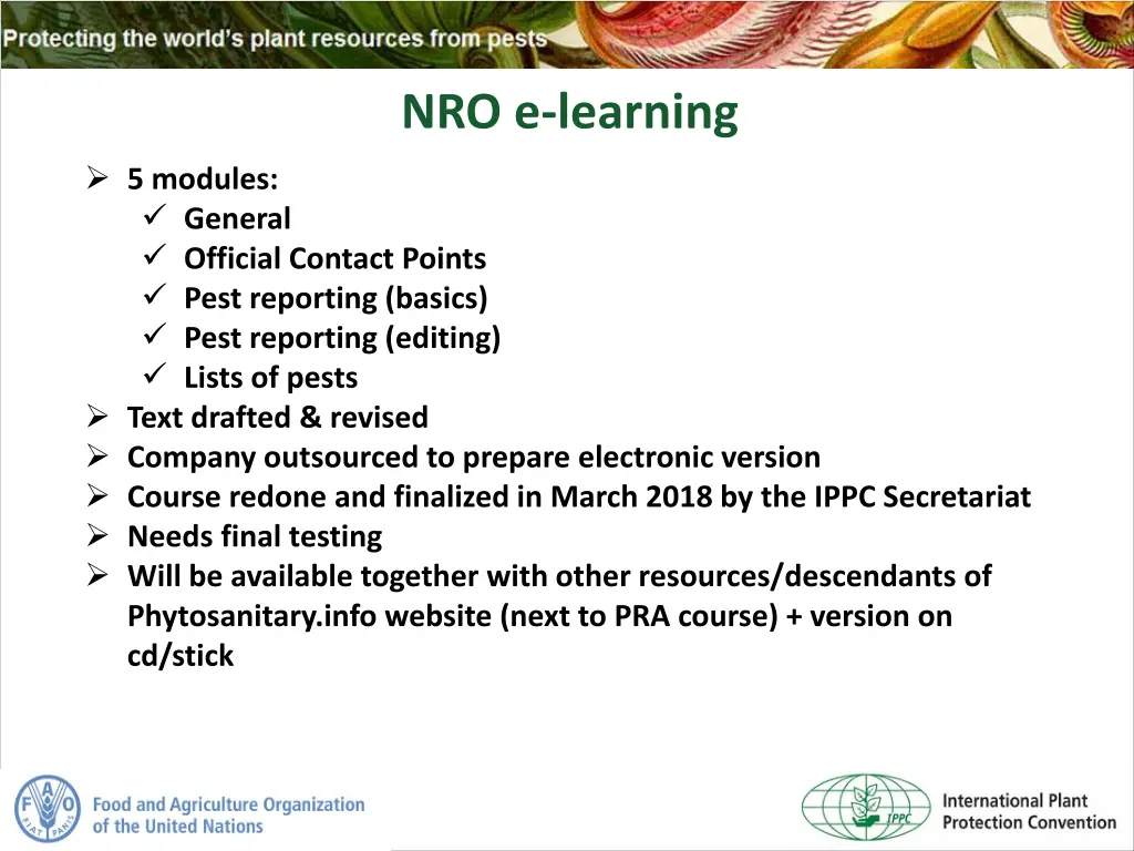 nro e learning