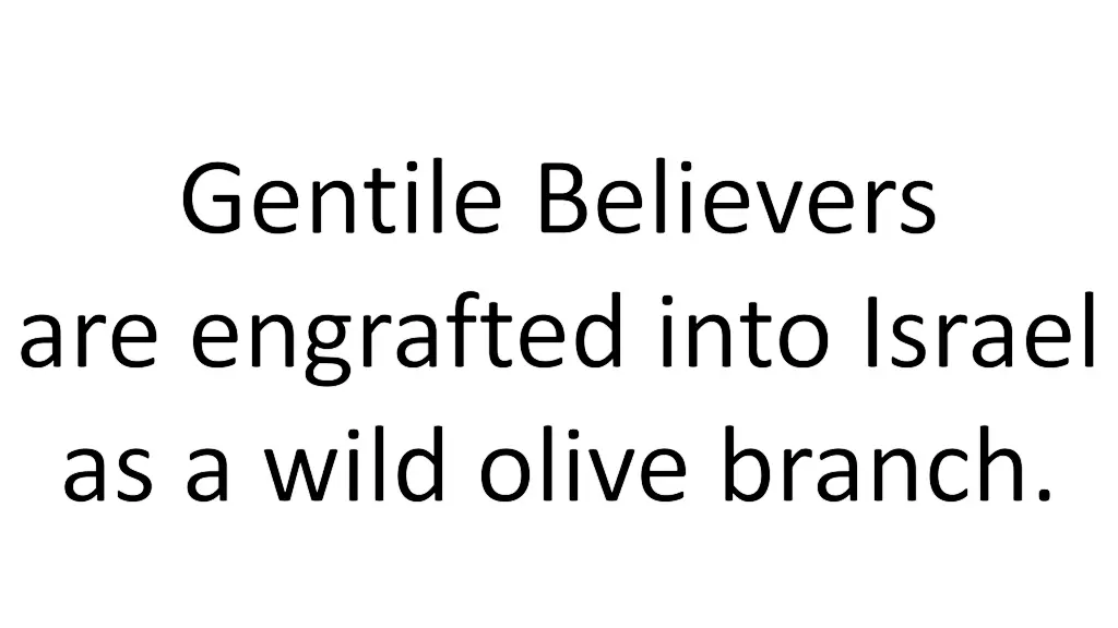 gentile believers are engrafted into israel