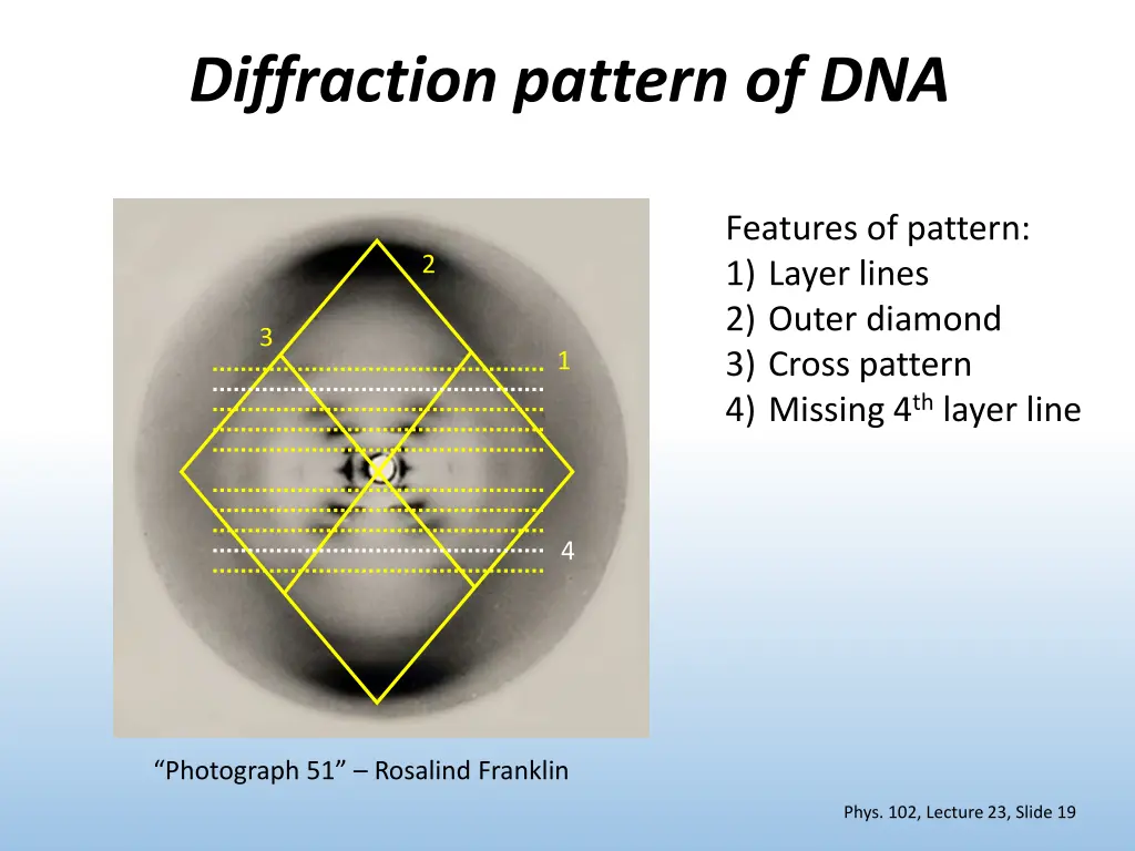 diffraction pattern of dna