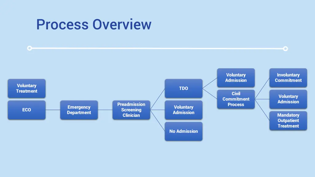 process overview