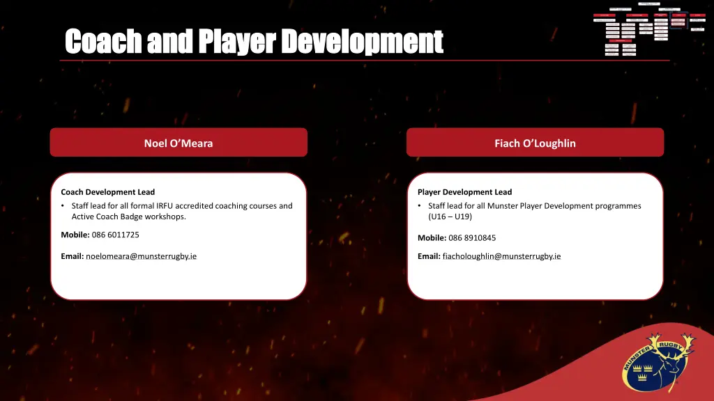 coach and player development coach and player