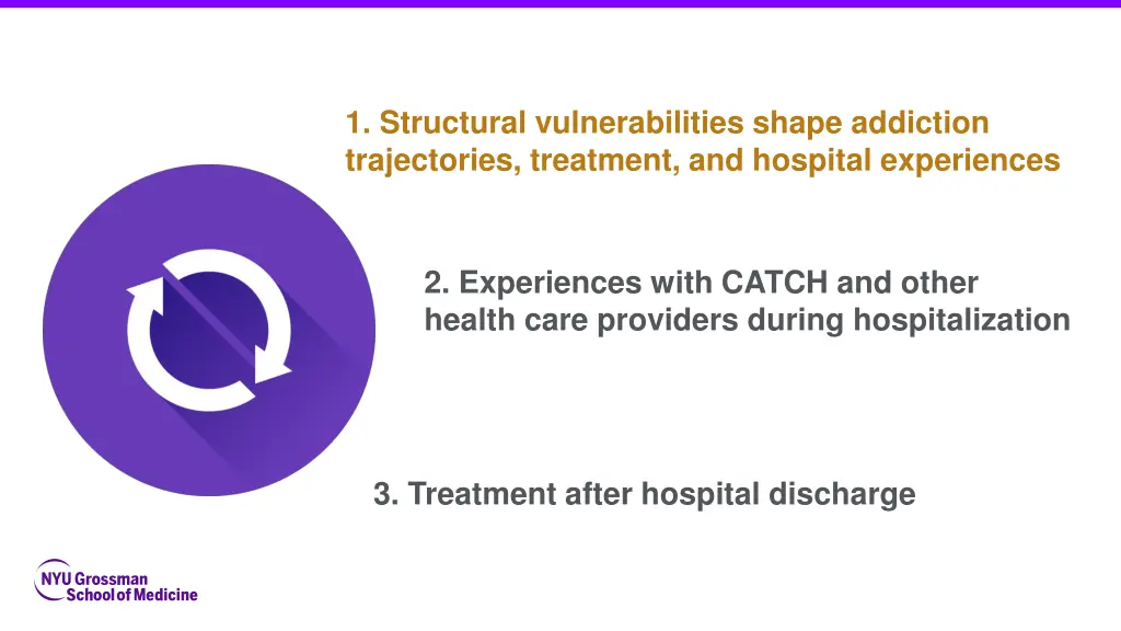 1 structural vulnerabilities shape addiction 1