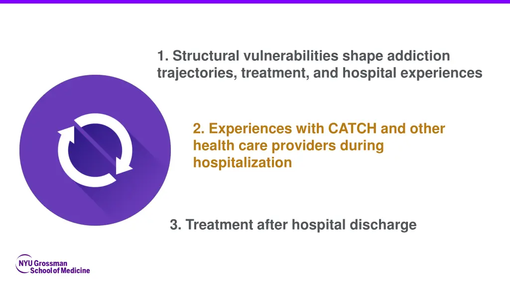 1 structural vulnerabilities shape addiction 3