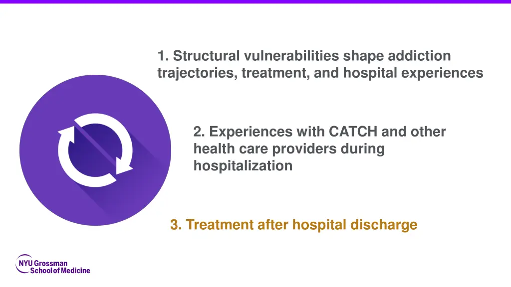 1 structural vulnerabilities shape addiction 4