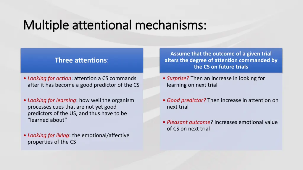 multiple attentional mechanisms multiple